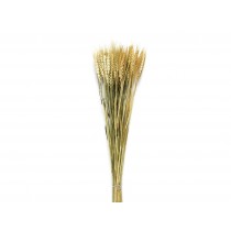  RAMO FLOR SECA NAT.TRIGO 70 GR.