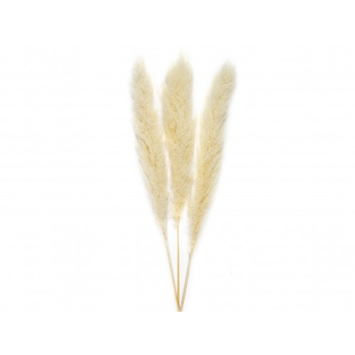  FLOR SECA NAT. PAMPAS BL.3UD. 115CM