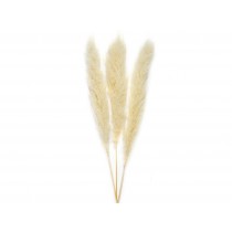  FLOR SECA NAT. PAMPAS BL.3UD. 115CM