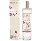 ESTEBAN SPRAY ESPRIT DE THÉ