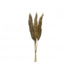 FLOR SECA NAT.PAMPAS NAT.3UD. 100CM