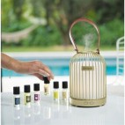 ESTEBAN PARIS DIFUSOR EDICION LAMPION