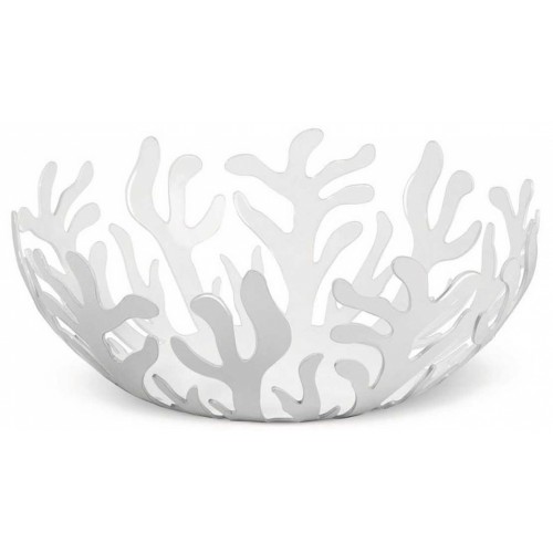 FRUTERO  Mediterraneo
