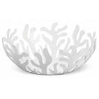 FRUTERO  Mediterraneo
