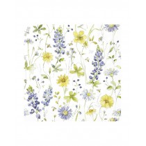 IHR SERVILLETAS PAPEL