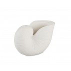 JARRÓN DOLOMITA NAUTILUS