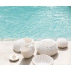 JARRÓN DOLOMITA NAUTILUS