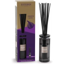 ESTEBAN BOUQUET FIGUE NOIRE 100ML